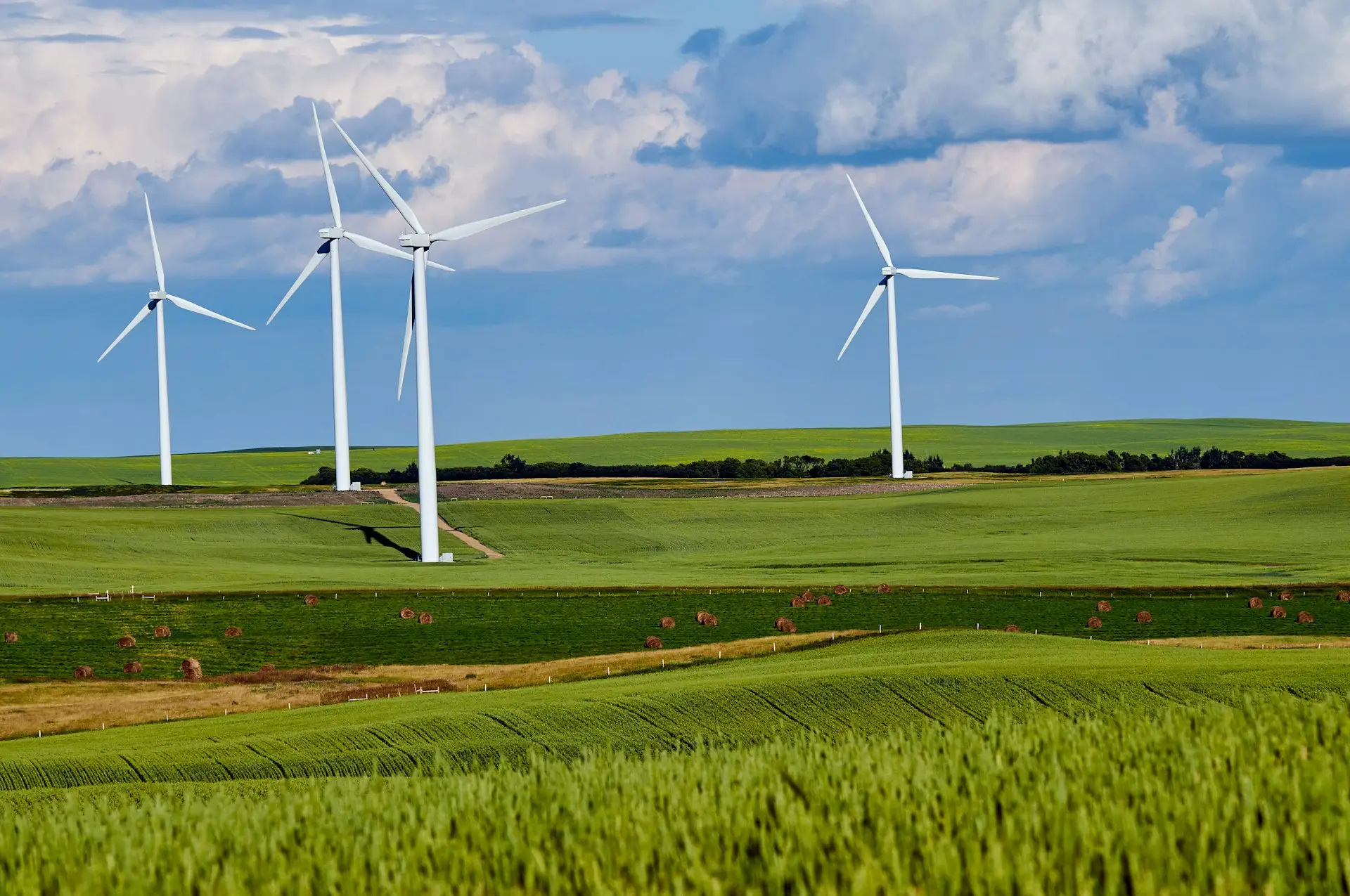 Wind turbines in field